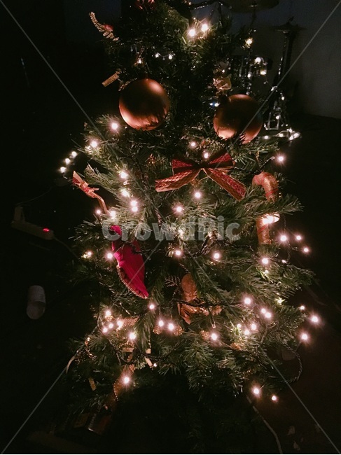 크리스마스,트리,전등,분위기,산타,축제,행사,festival,carnival,event,메리크리스마스,성탄절,merry christmas