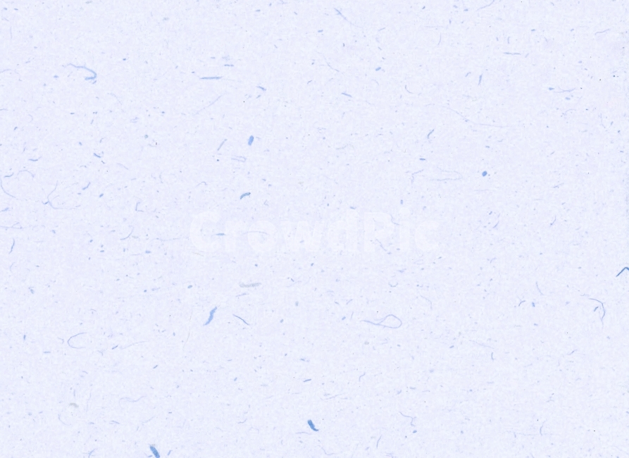 배경,종이,한국,전통,한지,질감,바탕,명절,설날,추석,한글날,새해,엽서,편지,기초,동양,선비,조선,고대,조상,닥나무,색지,색한지,고유의,조선종이,조선지,창호지,공간,빈공간,우리나라,푸른,연한,파랑,한국전통,한국문화,korean traditional,korean culture,텍스처,질감,패턴,texture,pattern
