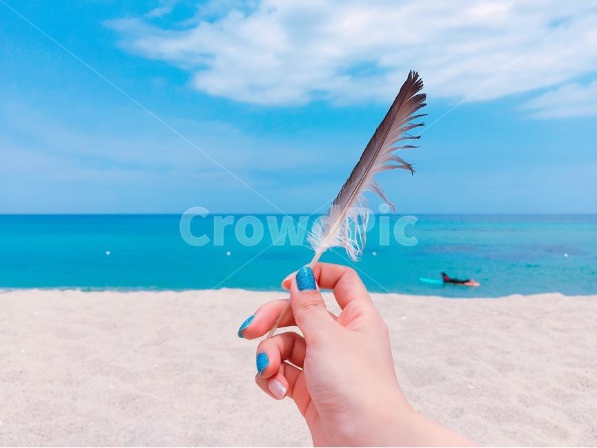 사람,person,자연,nature,바다,sea,해안선,shoreline,깃털,feather,손,hand,여름,summer,하늘,sky,손톱,nail