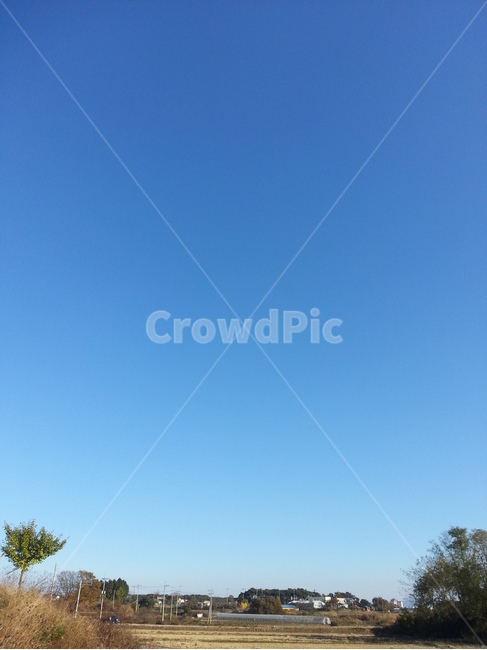 하늘,풍경,나무,자연,맑음,sky,nature,자연,풍경,nature,landscape,outdoors,옥외,tree,plant,식물