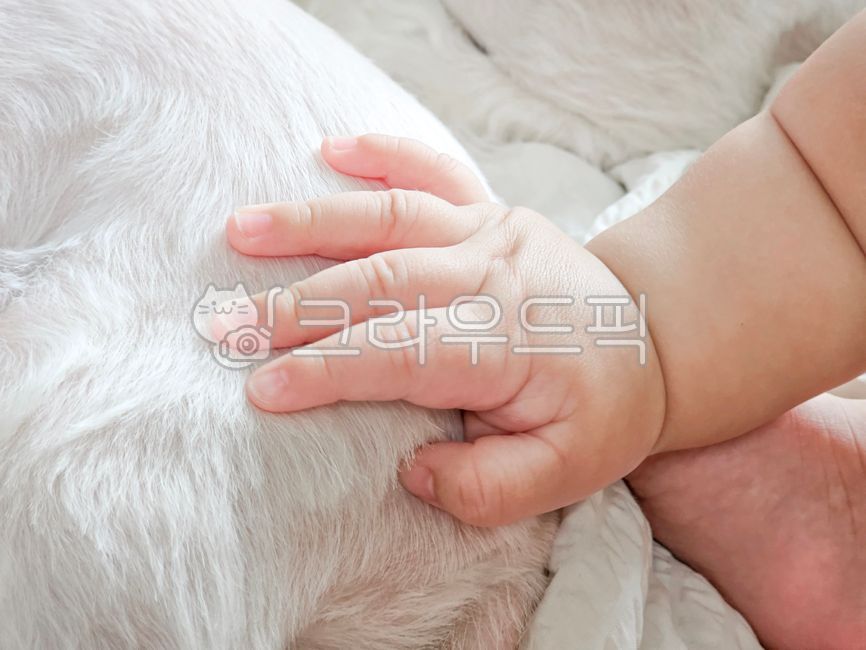 아기손,아기,애개육아,아기와강아지,따사로운분위기의,baby,babyandpuppy,babyanimal,babyhand