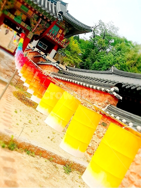 연등,등,절,부처님오신날,무지개색,종교,신앙,religion,belief,faith