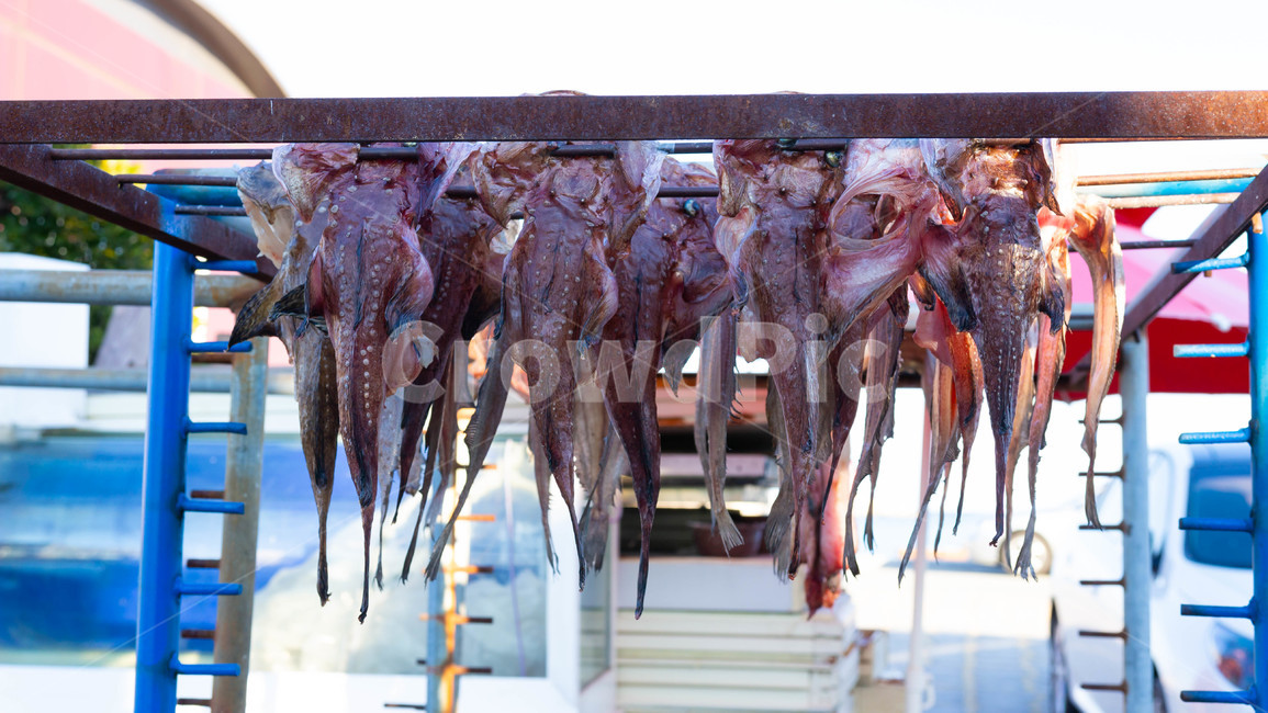 생선,말린생선,dryfish,건어물,바다