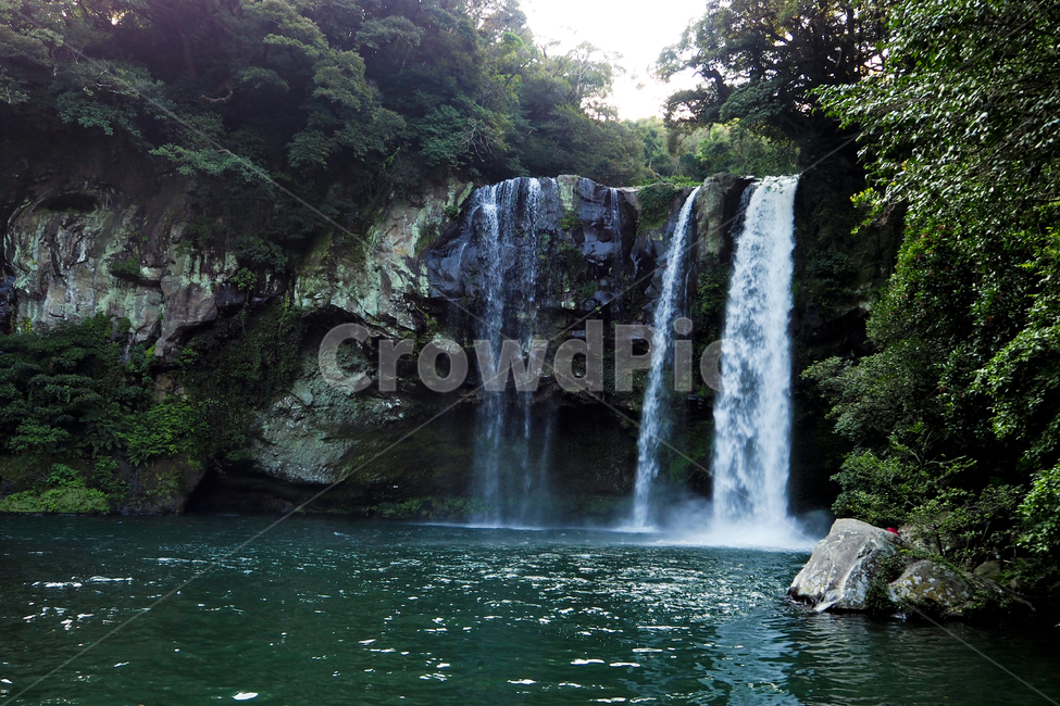 제주도,자연,풍경,jejuisland,jeju,nature,landscape,천지연폭포,폭포,cheonjiyeonfalls,waterfall,자연,풍경,nature,landscape,제주도,jeju,jeju island,water,물,river,강,outdoors,옥외