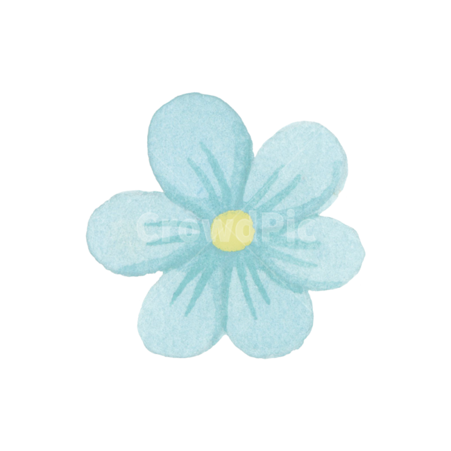 꽃,봄,수채화,손그림,꽃잎,자연,귀여운,일러스트,파랑,식물,illustration,watercolor,nature,cute,spring,petal,blue,flower,anemone,아네모네,plant,blossom,꽃,flower,누끼,remove background