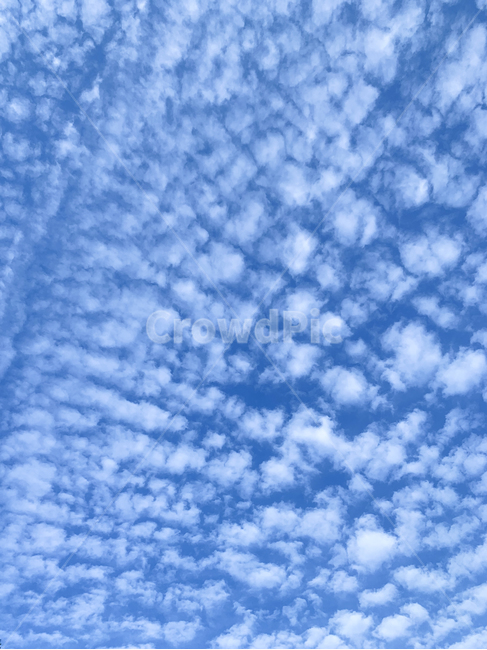 자연,옥외,하늘,푸른하늘,구름,풍경,배경화면,파랑,sky,outdoors,azuresky,nature,bluesky,clouds,weather