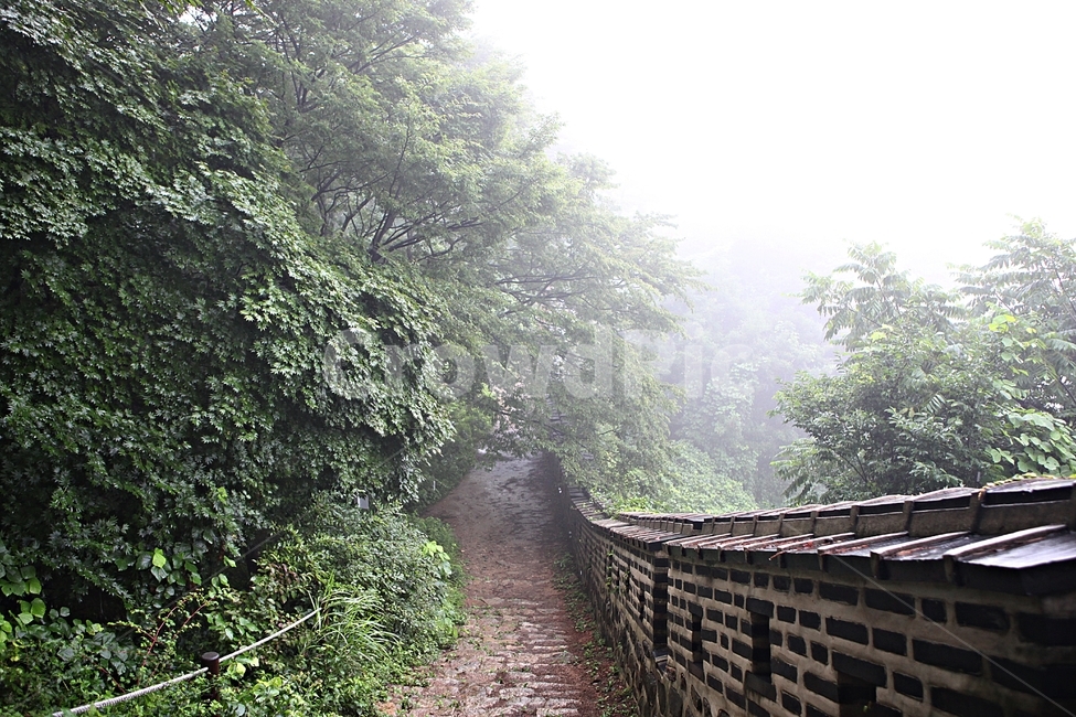 남한산성,성,성곽,둘레길,길,숲,숲길,안개,돌담,담,여름
