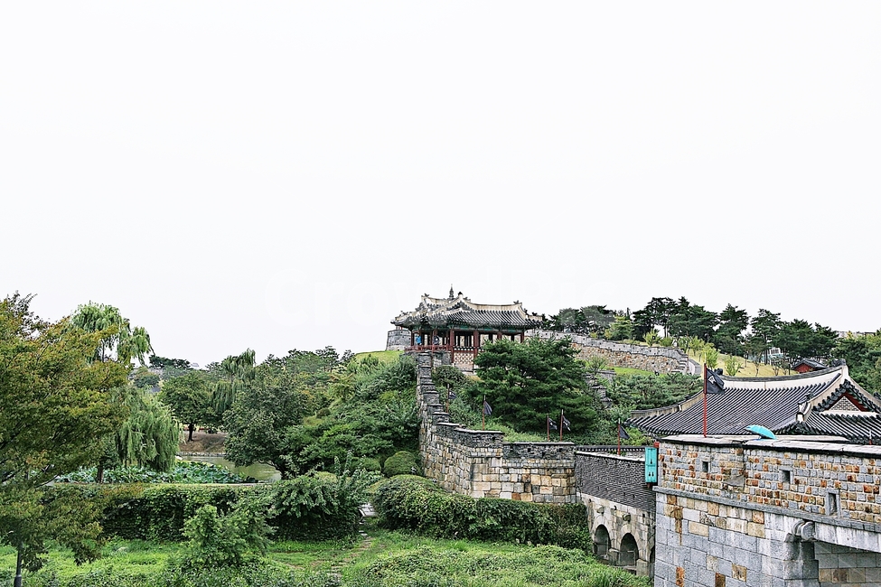 수원화성,성,성곽,길,둘레길,돌담,가을,담,자연,풍경,벽,방어벽,식물,전통,한국전통,한국문화,korean traditional,korean culture