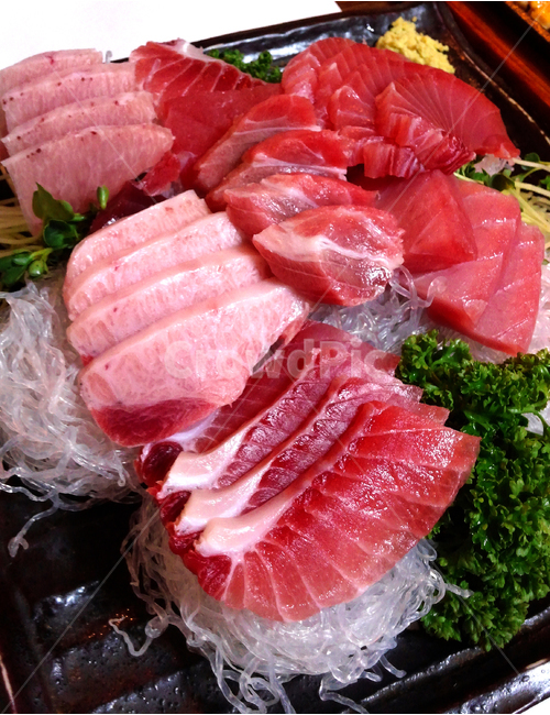 참치회,회,음식,술,참치,음식,식재료,요리,food,cook,meal,dishes,food reserves,수산물,해산물,fishery products,seafood,일식,일본음식,일본요리,Japanese food,Japanese dishes,Japanese meal,Japanese cook
