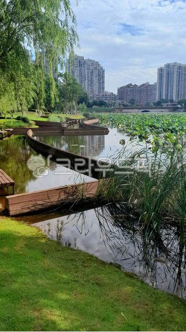 공원,아름다운,예쁜,호수공원,호수,힐링되는,힐링,배경,풍경