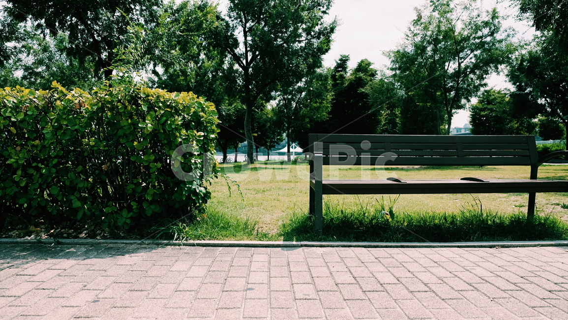 산책로,벤치,공원,휴식,맑은,식물,자연,plants,nature,나무,trees,wood