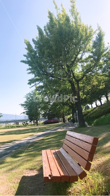 벤치,의자,공원,여유,좋은날