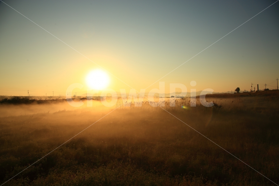 일출,아침,자연,풍경,안개,자연,풍경,nature,landscape,한국자연풍경,한국자연경관,korea nature landscape,flare,플레어,light,빛,outdoors,옥외,sky,하늘