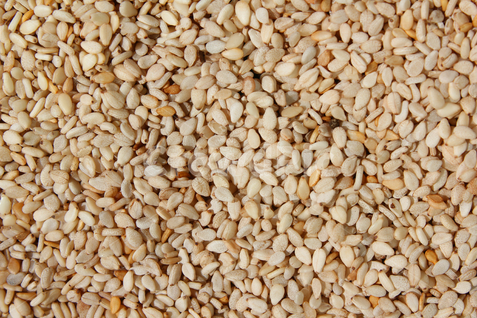 brown,closeup,dry,dummy,food,gold,grain,macro,meal,natural,nature,organic,plant,seed,seeds,sesame,sesameseed,sesameseeds,top,topangle,topview,yellow,깨,참깨,곡식,곡류,음식,음식재료,식재료,식물,씨앗,씨,갈색,브라운,말린,말리는,건조,자연,클로즈업,탑앵글,탑뷰,깨소금,농작물,농촌,농사,음식,식재료,요리,food,cook,meal,dishes,food reserves,곡류,곡식,cereals