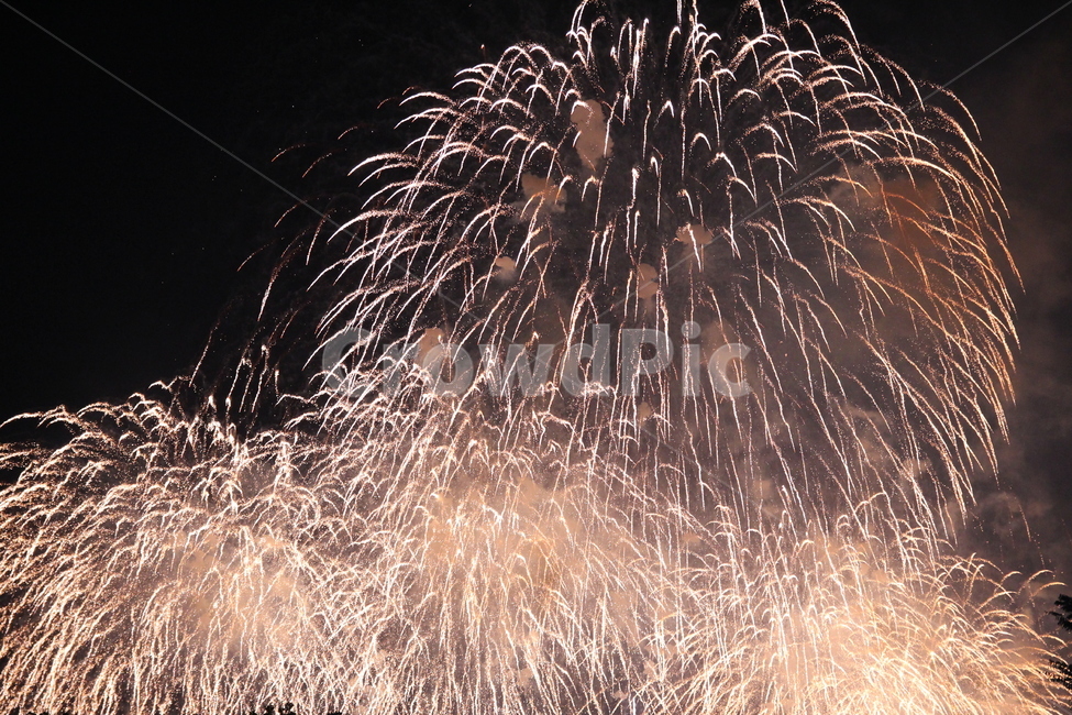night view,Fireworks festival,flame,Fireworks,Han River Fireworks Festival