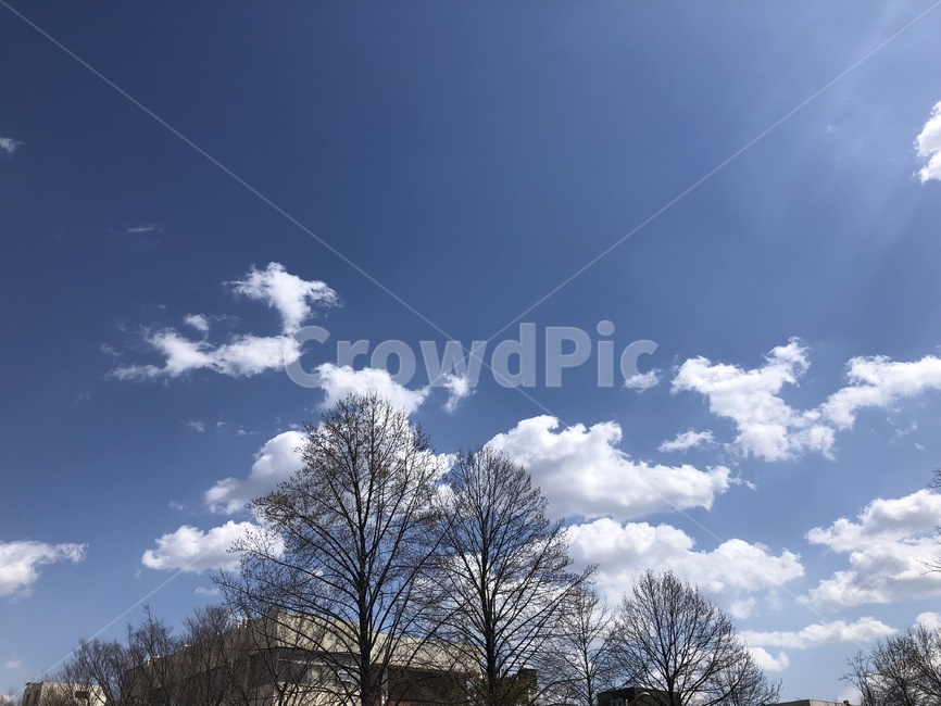 맑은하늘,흰구름,날씨좋은날,햇볕,봄,자연,풍경,nature,landscape,weather,날씨,outdoors,옥외,cumulus,적운,cloud,구름,sky,하늘