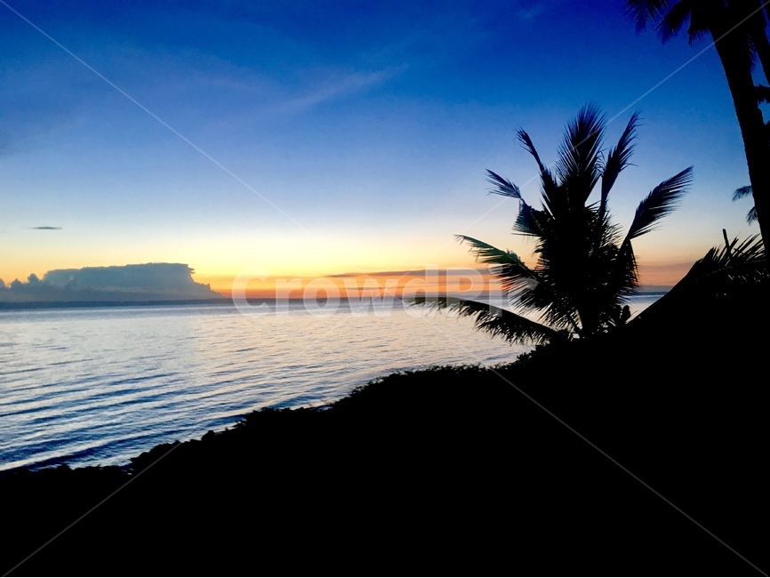 해변,beach,노을,sunset,하늘,sky,야자수,나무,tree,구름,cloud,풍경,landscape,자연,풍경,nature,landscape,해외,외국,세계,foreign,oversea,world,세계자연풍경,해외자연풍경,외국자연풍경,world nature landscape,실루엣,그림자,silhouette,shadow,summer,여름
