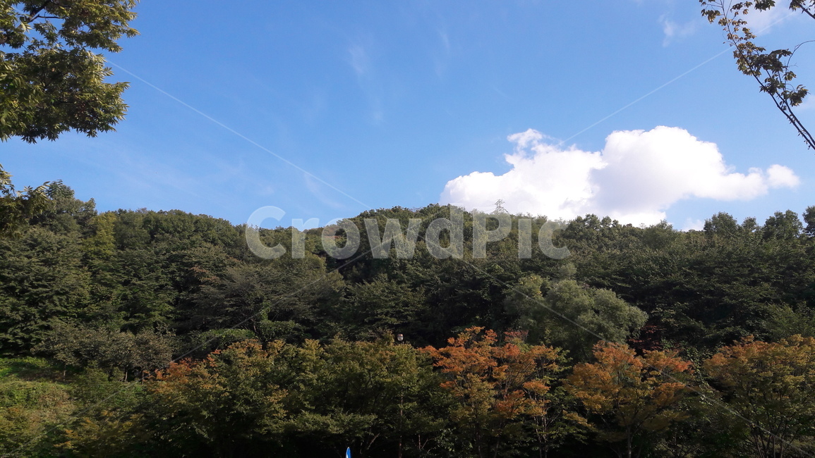 옥외,하늘,산,나무,구름,자연