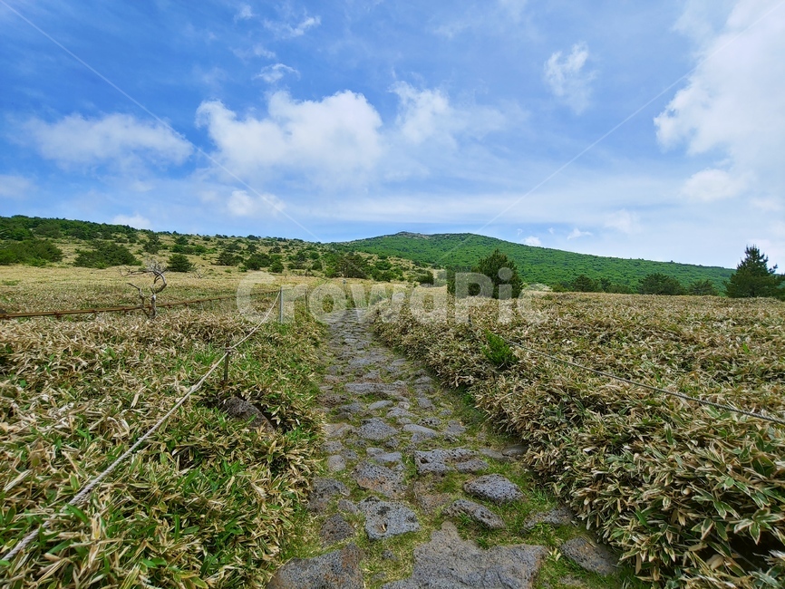 산길,산,하늘,등산로,돌길,mountain,sky,clouds,green,초록,한라산,배경,데크,walkway,trail,fense,펜스