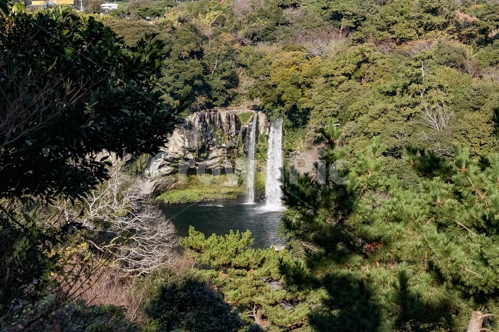 천지연폭포,폭포,제주도,제주,자연,물,숲,자연,풍경,nature,landscape,한국자연풍경,한국자연경관,korea nature landscape,제주도,jeju,jeju island,water,river,강,outdoors,옥외,waterfall
