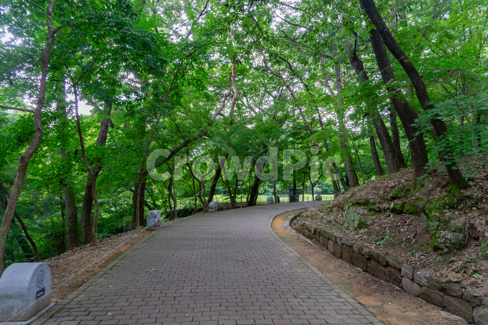 부소산,부소산성,부여,산길,백제,유적지,흐린날씨,여름,숲,산,path,pathway,lane,trail,오솔길,등산로,나무,초록,숲길,자연,풍경,nature,landscape,통로,garden,정원,outdoors,옥외,arbour,정자