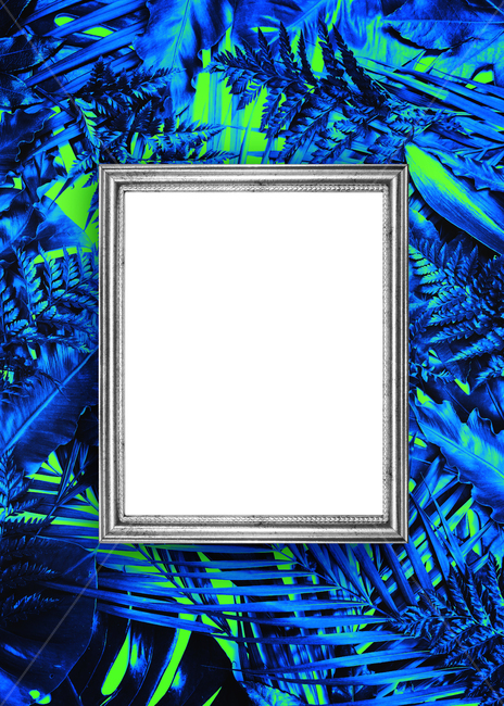 prepare,natural,neon,Botanical Frame,Botanical,leaf,summer,tropical,background image,palm tree,Neon,reversal,background,plant,tropical plants,jungle,colorful,frame