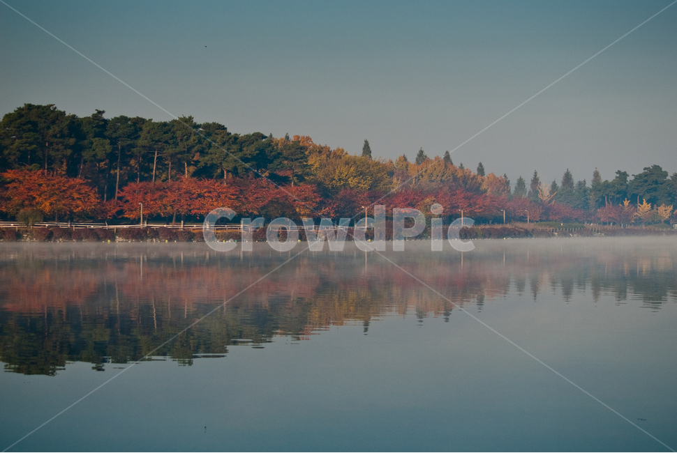 반영,호수,대칭,물안개,아침,nature,자연,water,물,outdoors,옥외