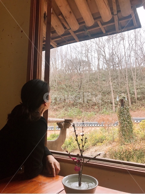 자연,여행,전통,문화,한옥,한옥스테이,다도,순천,한국,대한민국,사람,생각,그리움,고민,걱정,가을,겨울,감성,색채,색감,색상,사람,인물,인간,human,person,여성,여자,woman,female,lady