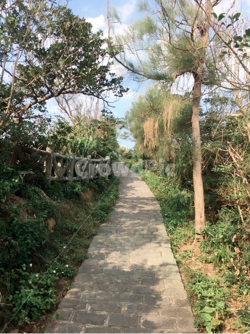 길,공원,예류,대만,나무,정원,outdoors,garden