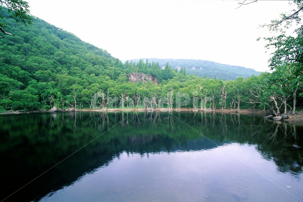 소천지,백두산,우리땅,장백산,천지,민족의영산,북한,아름다운,장엄한,광활한,고산지대,화산,분화구,눈,산,mountain,flowers,시즌,계절,등산,여행,관광지,투어,명소,TOUR,TRAVEL,고구려,자연,풍경,NATURAL,호수,고산호수,자연,풍경,nature,landscape,water,물,outdoors,옥외,land,땅