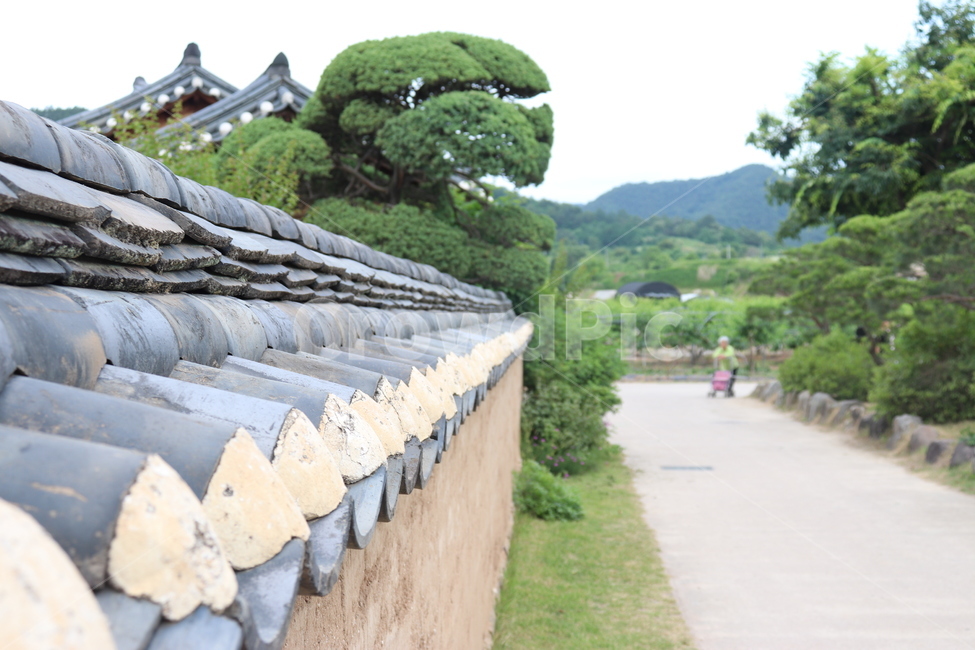 안동,하회마을,길,담버락,기와,한국전통,한국문화,korean traditional,korean culture,건축물,건물외관,exterior,building,structure,architecture,construction