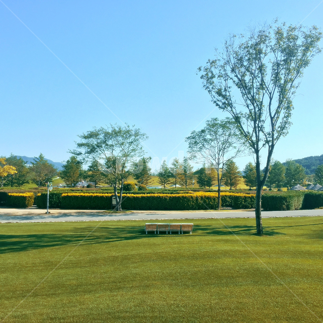 공원,초록잔디,벤치,나무그늘,잔디공원,나무,그림자,휴식,greengrass,grass,bluesky,도심속공원,파란하늘