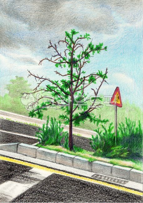 풍경,풍경화,나무,그림,색연필화,색연필,작품,핸드메이드,예술,식물,자연,nature,초록색,green,야외,도로,마른가지,마른나무