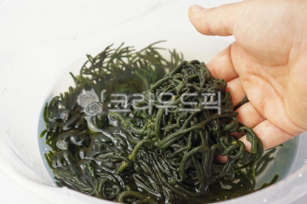 건청각,청각,김치,김장,배추김치,김장김치,청각김치,음식,식재료,요리,food,cook,meal,dishes,food reserves