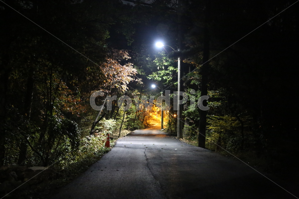 밤길,등산로,가로등길,산,산길,야경,밤,풍경,nightscape,night,landscape,공포,호러,무서운,무서움,horror,terror,fear,asphalt,아스팔트,road,도로