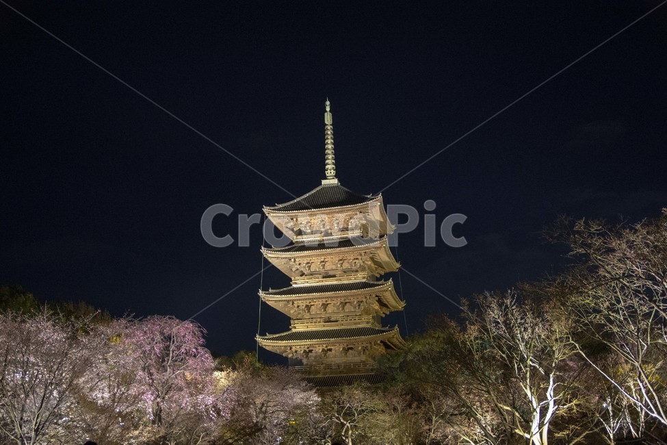 도지,일본,야경,풍경,japan,temple,탑,건축물,tower,architecture