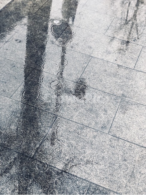 비,빗방울,빗물,가로등,보도블럭,비,비오는날,rain,rainy
