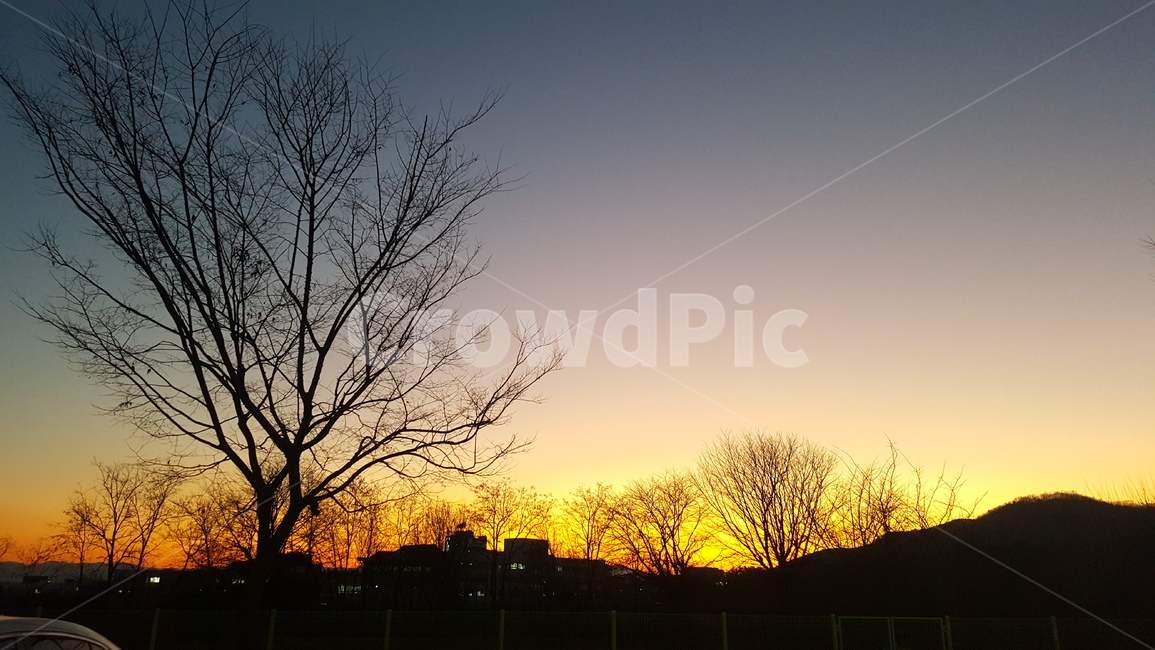 겨울,노을,일몰,석양,sunset,magichour,winter,개와늑대의시간,실루엣,자연,풍경,nature,landscape,실루엣,그림자,silhouette,shadow,outdoors,옥외,red sky,붉은 하늘,sky,하늘,dusk,황혼,dawn,새벽