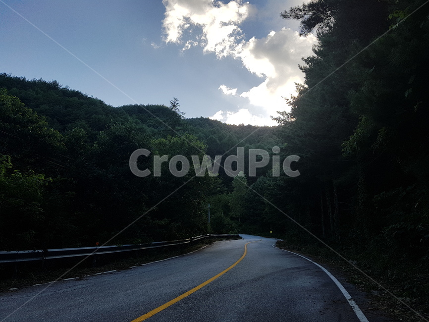 asphalt,도로,road,하늘,그늘,나무,숲길