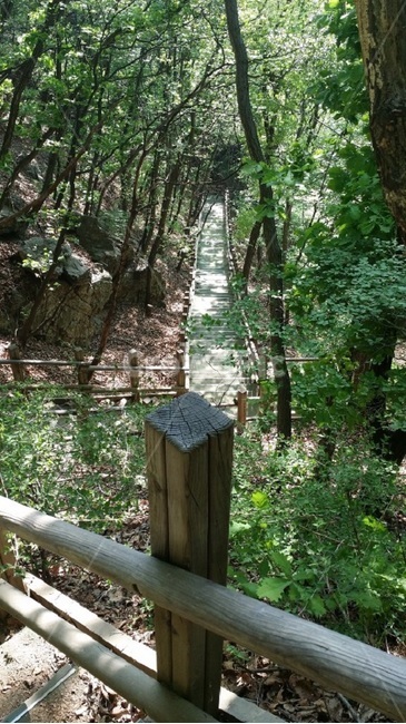 숲,나무,계단,산,풍경,자연,풍경,nature,landscape