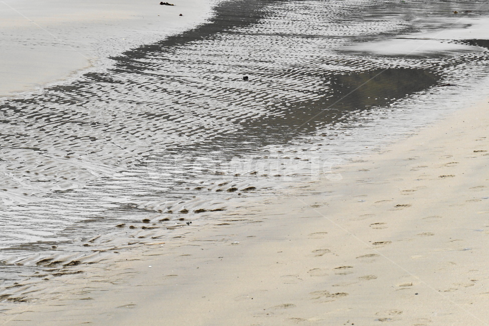 바닷가,모래,물결무늬,백사장,3월,해변,바다,beach,sea