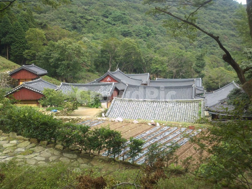 절,지붕,기와,roof,경치,산속