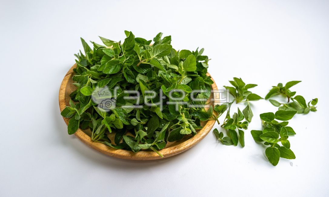 오레가노,herbs,허브,leaf,잎,나무접시,클로즈업,흰배경