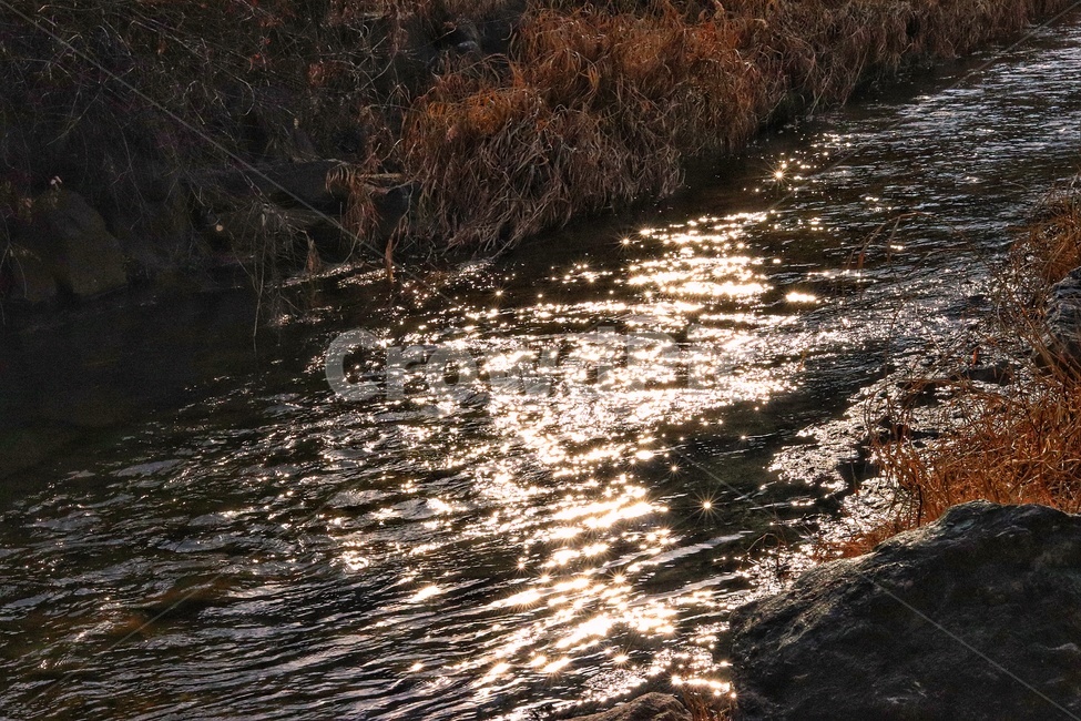 윤슬,청계천,빛반사,냇가,노을,자연,풍경,nature,landscape,land,땅,outdoors,옥외,water,물