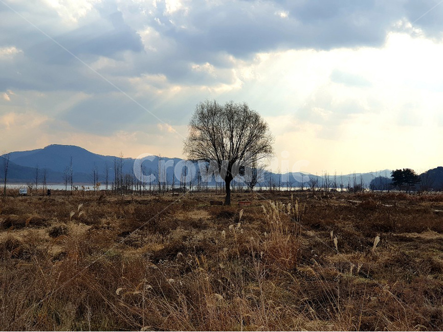 나무,하늘,겨울,tree,sky,winter,가을,계절,fall,autumn,season,자연,풍경,nature,landscape,plant,식물