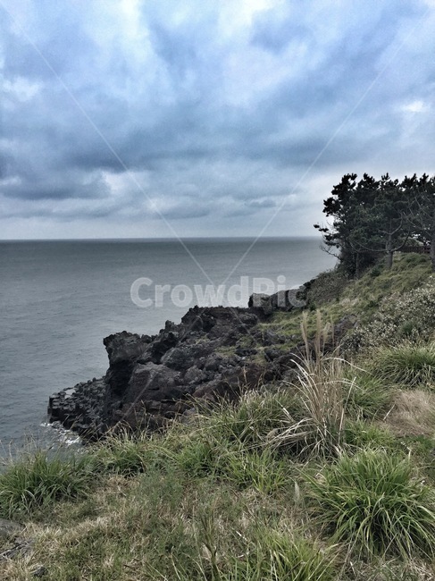 제주도,자연물,주상절리,해안,해안절벽,절벽,화산섬,잔디,자연,풍경,nature,landscape,promontory,곶,land,땅,outdoors,옥외