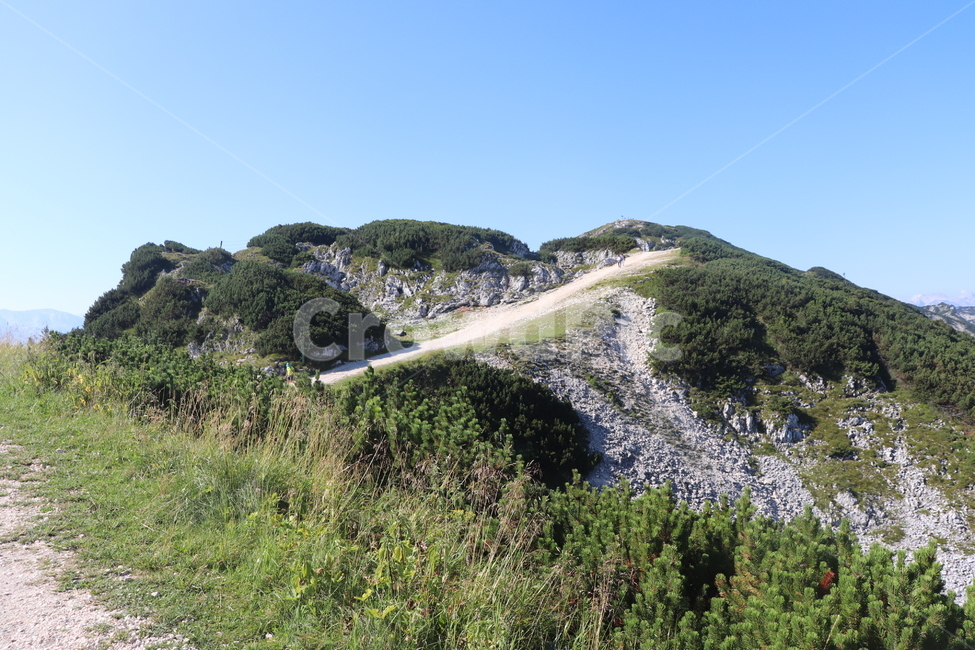 오스트리아,운터베르크,운터스베르크,동유럽,유럽,산,자연,풍경,nature,landscape,outdoors,옥외,slope,경사,hill,언덕
