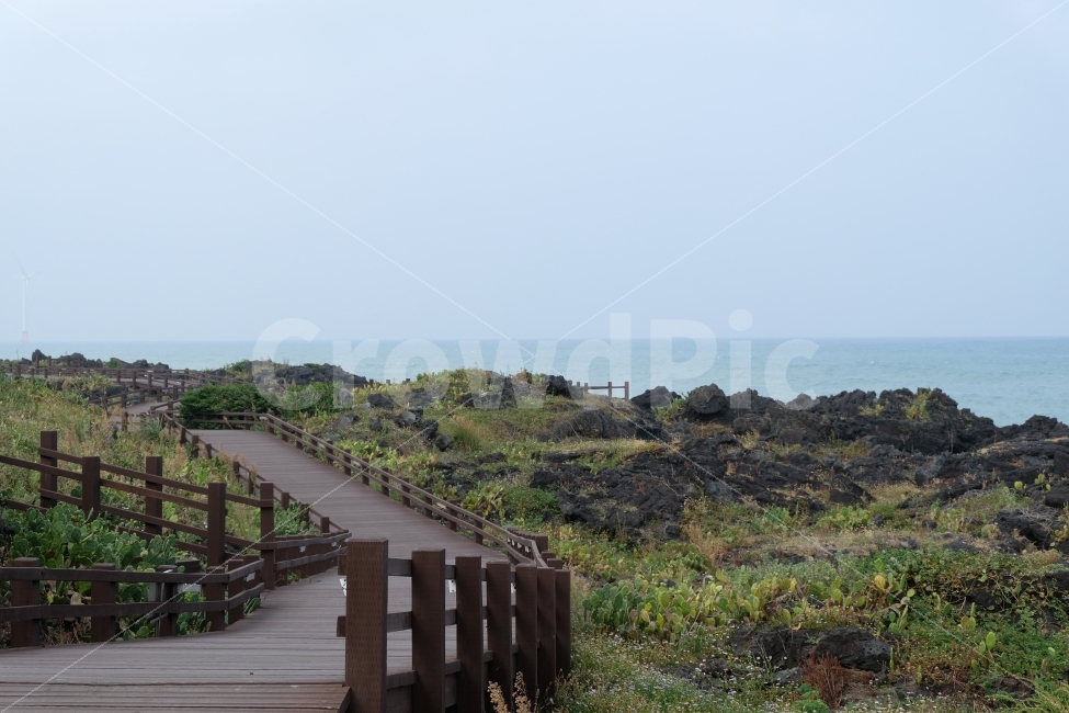 선인장,선인장군락지,바다,해안로,해안산책길,산책길,바다산책길,바다길,제주도풍경,제주도,자연,풍경,nature,landscape,제주도,jeju,jeju island,building,건물,bridge,다리,boardwalk,산책로