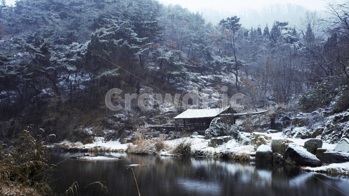 겨울,눈,물레방아,너와집,자연,계절,winter,감성,기분,feeling,watermill,snow,지붕,숲,나무,갈대,홍제천,겨울,계절,winter,season,자연,풍경,nature,landscape,한국자연풍경,한국자연경관,korea nature landscape,시골,마을,country,rural,town,outdoors,옥외,building,건물