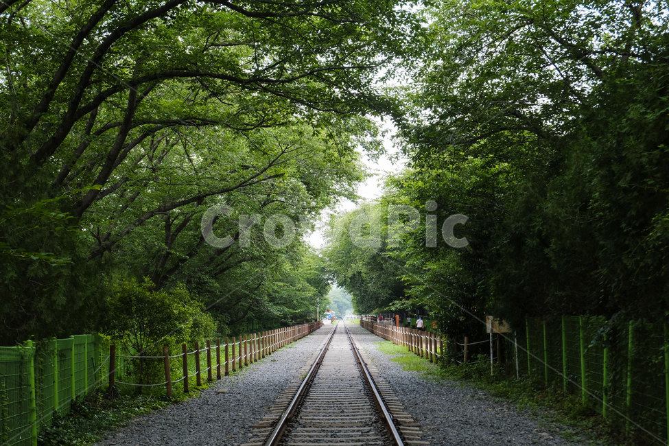 철길,풍경,레일,landscape,railroad,rail,tree,나무,기찻길